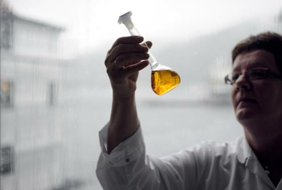 Marinolje. Foto: Foto: Helge Skodvin/NIFES.