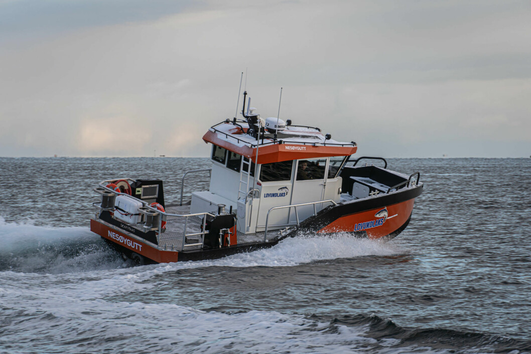 «Nesøygutt» er navnet på det nye fartøyet til Lovundlaks. Foto: Skarsvåg Boats