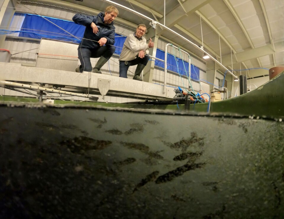 Daglig leder Halvard Hovland sammen med Bjørn Lillelien som har gjort arbeidet som kreves for å sikre konsesjon. Foto: Eivind Hauge.
