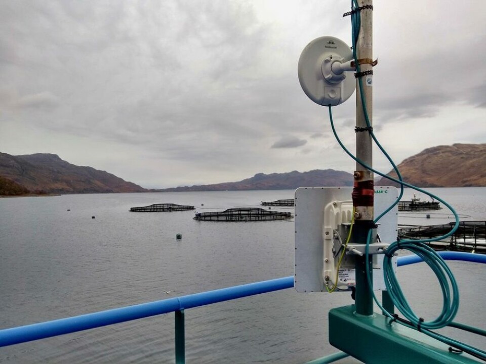 Scottish Sea Farms (SSF) har sikret høyhastighetsforbindelse mellom sine tre Loch Nevis oppdrettsanlegg og kysten. Foto: SSF