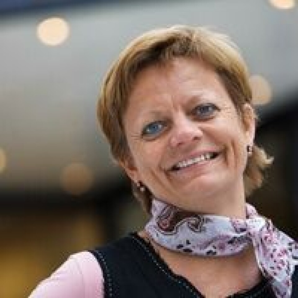 Divisjonsdirektør Anne-Kjersti Fahlvik i Norges forskningsråd. Foto: Norges forskningsråd.