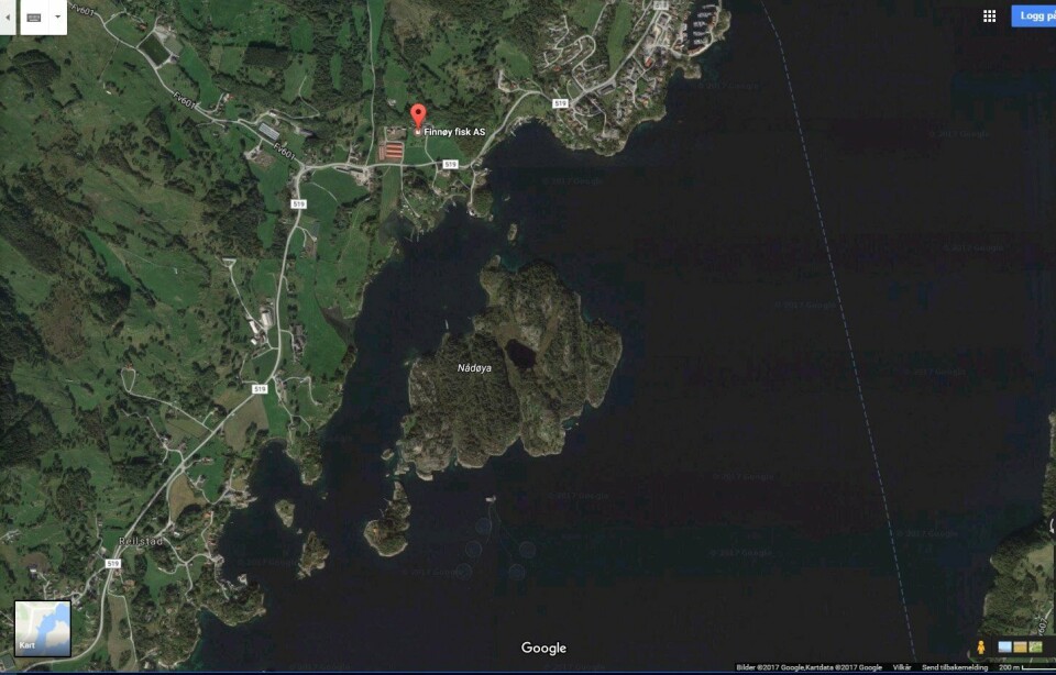 Finnøy Fisk holder til i Finnøy kommune i Rogaland.