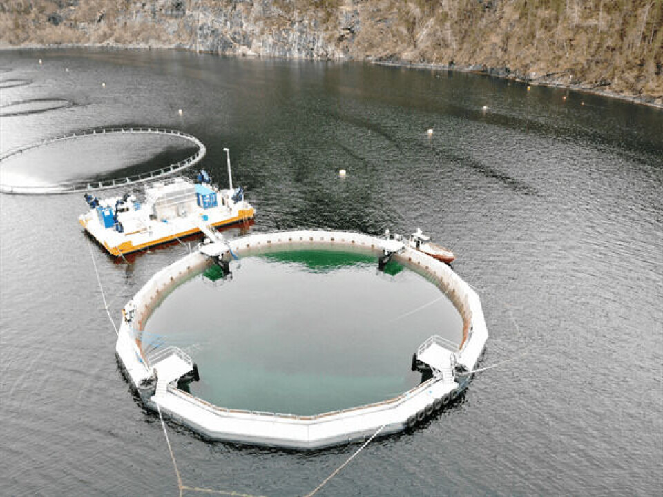 Firda Sjøfarm kjøper en Certus merd av FiiZK. Foto: FiiZK.