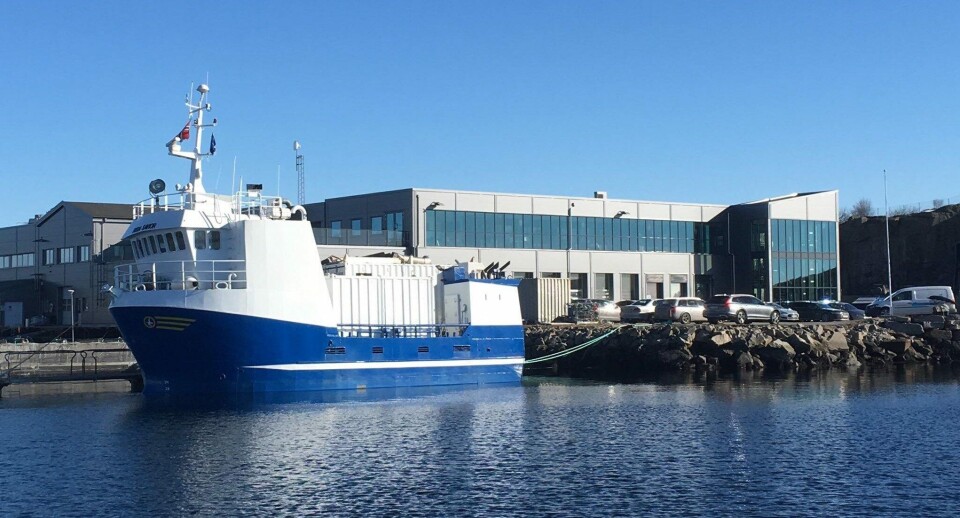 Firda Savior er et såkalt «stun and bleed» fartøy, her liggende ved kai på Firda Seafood sitt pakkeri på Byrknesøy. Foto: Firda Seafood Group.