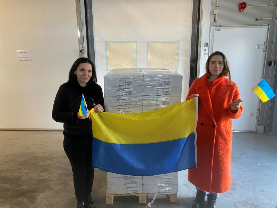 Firda Seafood har et internasjonalt arbeidsmiljø, deriblant flere ukrainske medarbeidere. De ønsker derfor å gi et bidrag i en svært vanskelig tid. Foto: Firda Seafood