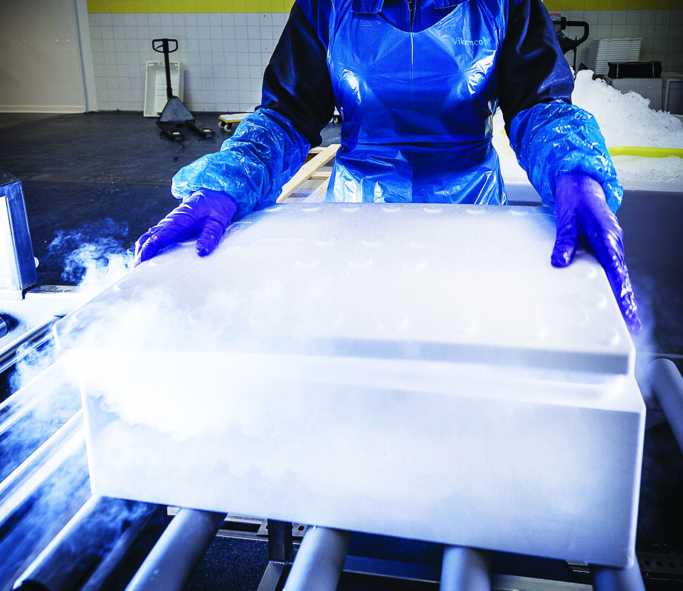 Ved bruk av tørris som kjølemedium kan man spare transportkostnader, sammenlignet med bruk av vann-is, som veier mer for samme effekt. Foto: Tore Fjeld/Nippon Gases Norway