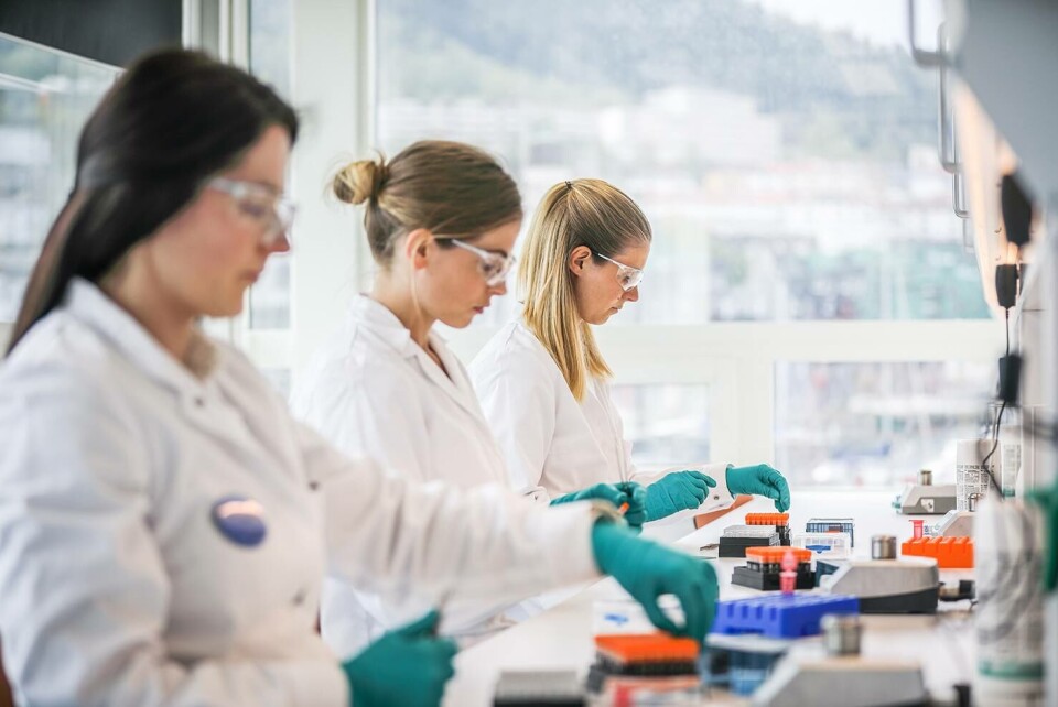 PHARMAQ Analytiq har virksomhet i alle de største lakse- og ørretproduserende land, og tilbyr veterinærtjenester, diagnosetjenester og miljøtjenester inkludert histopatologi, PCR, mikrobiologi, miljøanalyse og ekkografi. Illustrasjonsfoto: Pharmaq Analytic