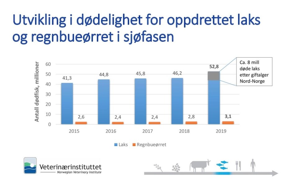 Utvikling i dødelighet for laks og regnbueørret i sjøfasen. Tabell fra Veterinærinstituttet. Utvikling i dødelighet for laks og regnbueørret i sjøfasen. Tabell fra Veterinærinstituttet.