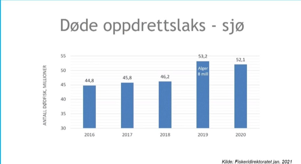 Antall døde fisk siste fem år. Kilde: Veterinærinstituttet. Klikk for større Antall døde fisk siste fem år. Kilde: Veterinærinstituttet. Klikk for større