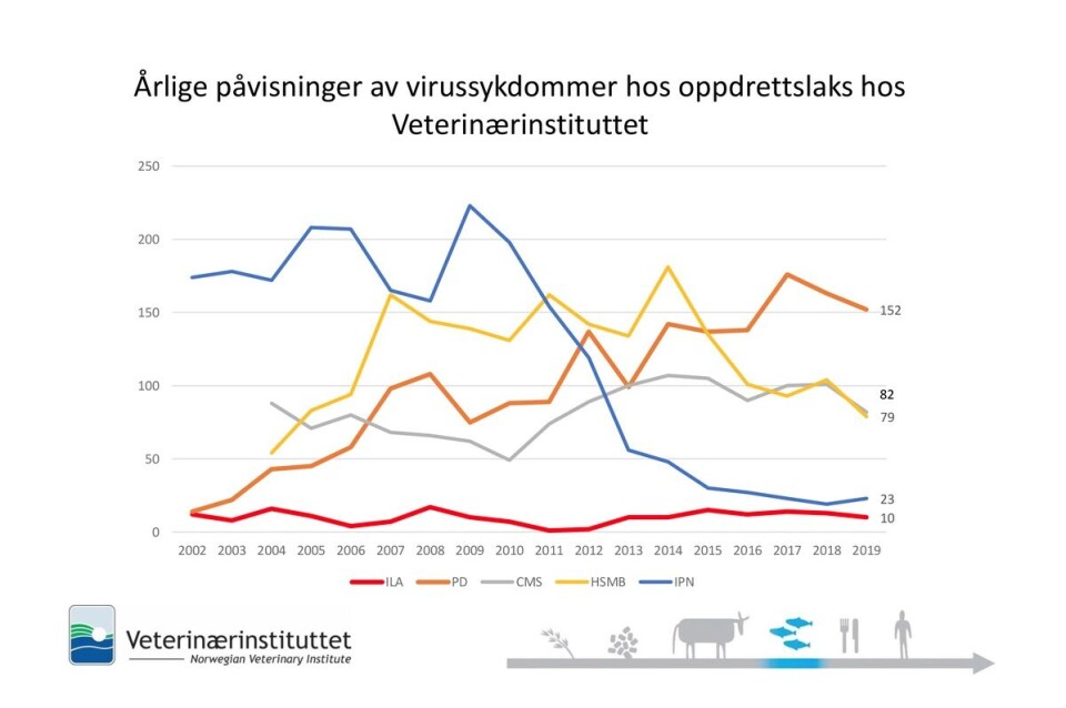 Årlige påvisninger av virrussykdommer. Tabell fra Veterinærinstituttet. Årlige påvisninger av virrussykdommer. Tabell fra Veterinærinstituttet.