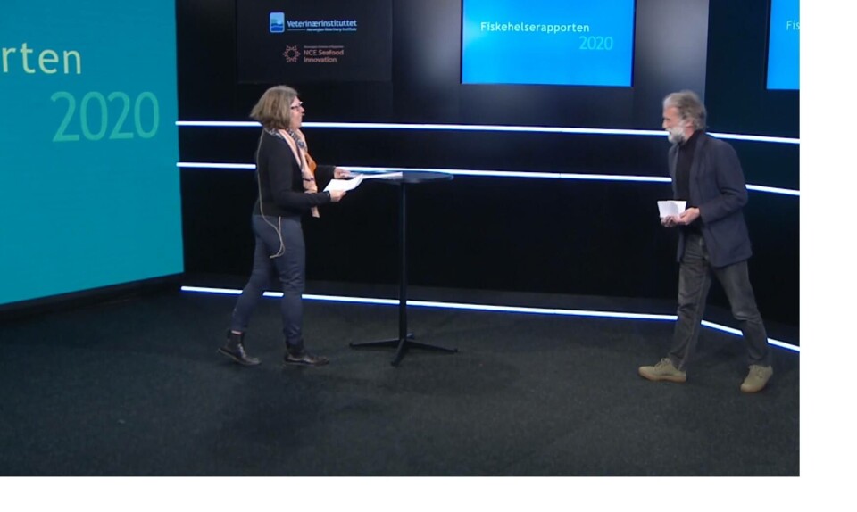 Fiskehelserapporten 2020 overleveres fra Veterinærinstituttet ved Edgar Brun til Mattilsynet ved Friede Andersen. Foto: Skjermdump Fiskehelserapporten 2020 overleveres fra Veterinærinstituttet ved Edgar Brun til Mattilsynet ved Friede Andersen. Foto: Skjermdump