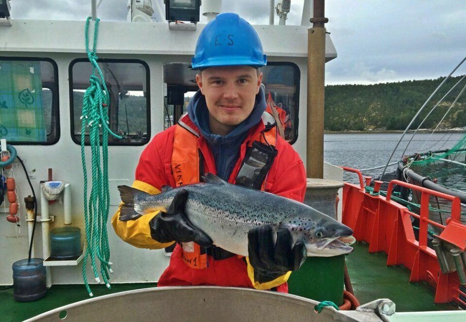 Kristoffer Berglund Andreassen som er fiskehelsebiolog og avdelingsleder for Fishguard i Nord-Norge. Foto: Privat