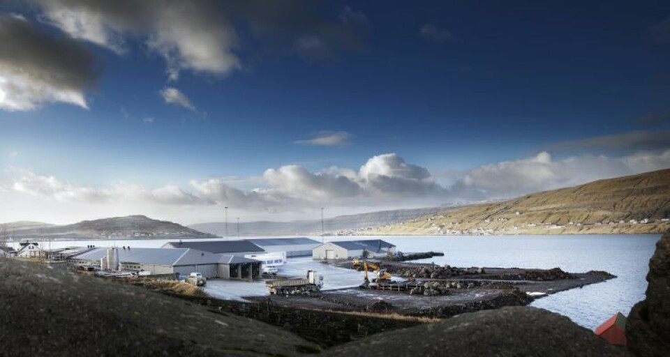 Bakkafrost har EBIT per kilo marginer på det dobbelte av norske selskaper. Foto: Bakkafrost