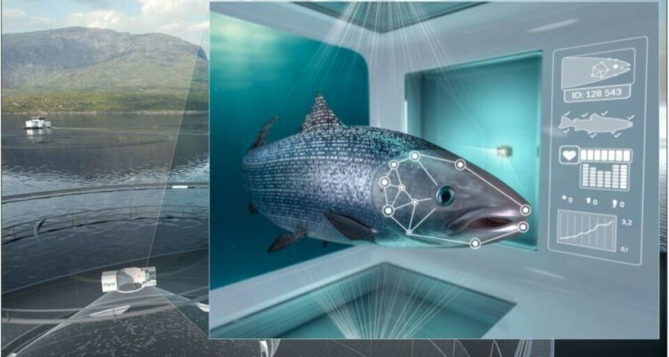 Cermaq vinner ikke frem med klage i iFarm-anken sin. Foto: Cermaq