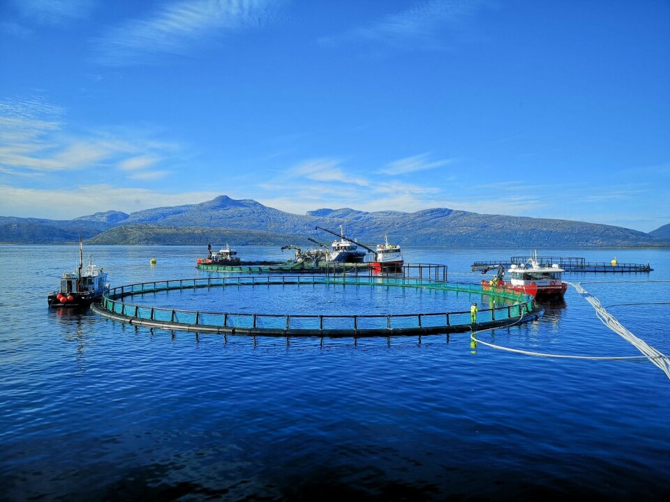 Det er tre lokaliteter i Ballangen Sjøfarm som er rammet av algeroppblomstring. Illustrasjonsfoto av et av anleggene: Ballangen Sjøfarm AS.