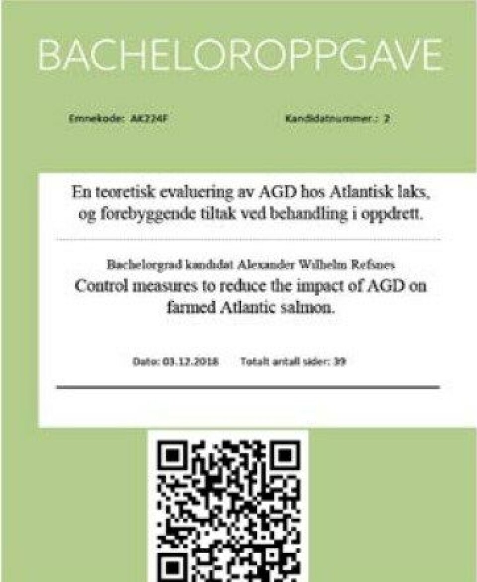 Artikkelen er basert på Bacheloroppgaven til Alexander Refsnes.