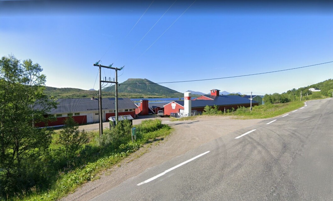 Cermaqs settefiskanlegg på Holmvåg, er lokalisert innerst i Holmvaagfjorden i Steigen kommune i Nordland. Anlegget har tatt flere grep for å bedre kvaliteten og velferden til yngelen. Foto: Google Street View