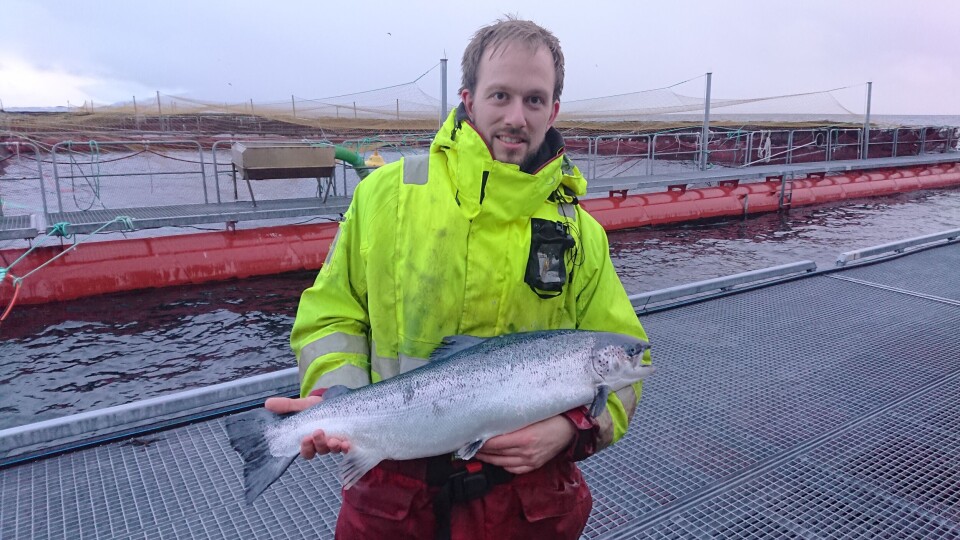 På biletet ser du Fredrik Kyrkjebø frå leverandøren ECOMERD AS. Han har hatt god teknisk oppfølging av merden hos Sulefisk og har observert produksjonen heile vegen. Foto: Sulefisk På biletet ser du Fredrik Kyrkjebø frå leverandøren ECOMERD AS. Han har hatt god teknisk oppfølging av merden hos Sulefisk og har observert produksjonen heile vegen. Foto: Sulefisk