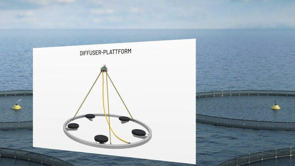 Diffuser plattformen (Illustrasjon/ visualisering: Pentair Vaki/ Nagelld)