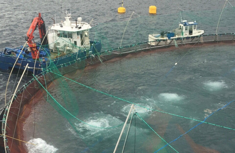 Illustrasjonsfoto merdbehandling. Foto: Amund Litlabø / Aqua Pharma. Illustrasjonsfoto merdbehandling. Foto: Amund Litlabø / Aqua Pharma.