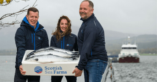 Bekreftet: Scottish Sea Farms kjøper Grieg Seafood Hjaltland for knappe to milliarder