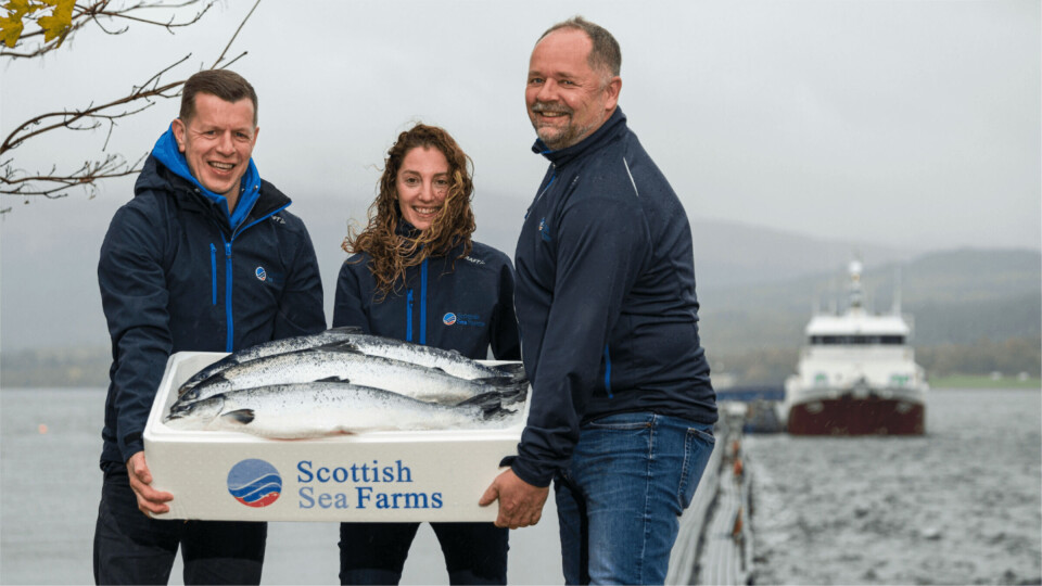 Nå blir det ekstra laks for SSF å selge. Grieg Seafood Hjaltland slaktet i fjor 16 000 tonn (HOG) atlantisk laks. Arkivfoto: SSF