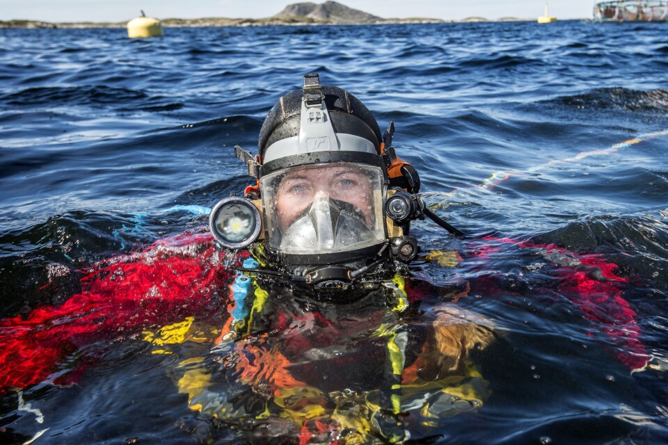 Illustrasjonsfoto arbeidsdykker. Foto: Sjømat Norge.