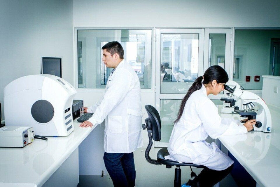 Fish Vet Group har hovedkontor i Inverness (Skottland) med tilhørende diagnostiske laboratorier der, samt i Norge, Irland og Chile. Illustrasjonsfoto: Benchmark.