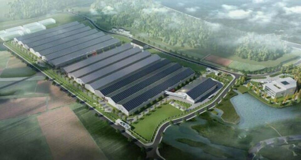 Nordic Aquapartners sitt anlegg i Ningbo. Foto: AKVA Group
