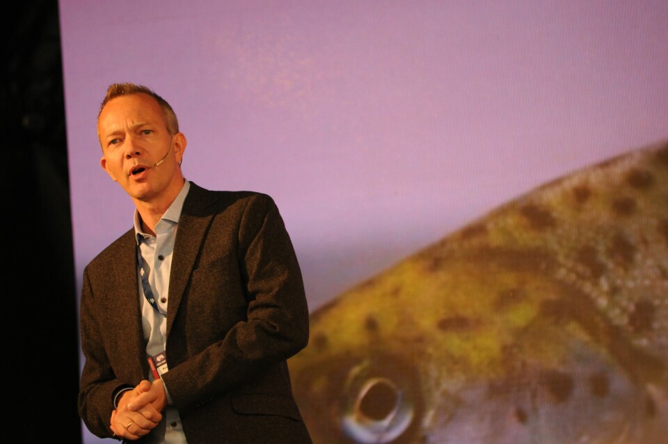 Bendik Fyhn Terjesen. Foto: Pål Mugaas Jensen.