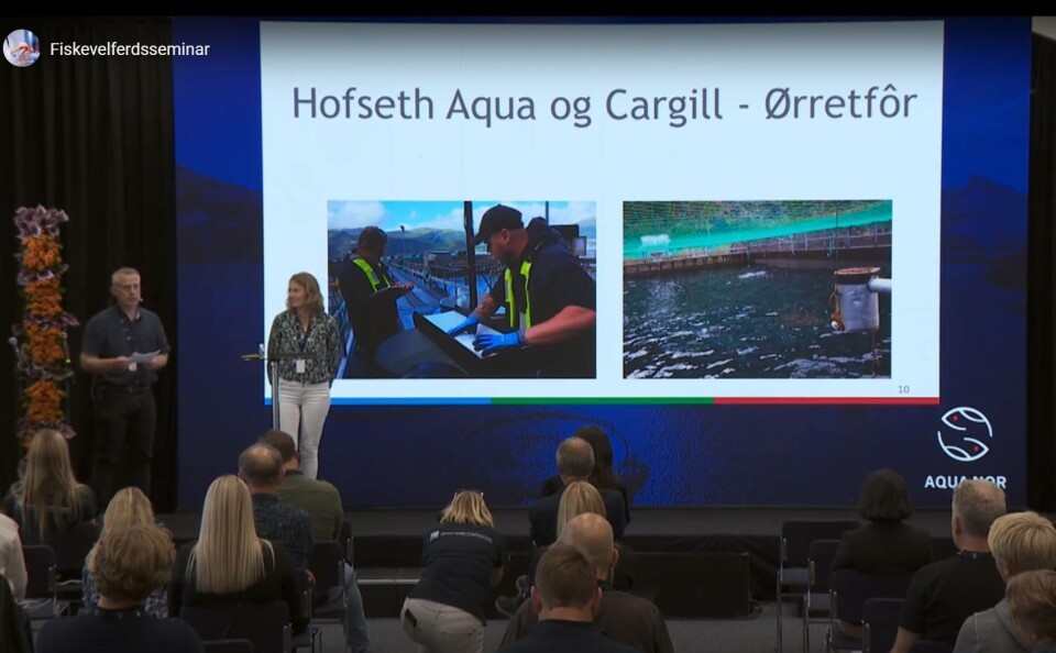 Skjermdump fra forrige utdeling av Fiskevelferdsprisen. Skjermdump fra forrige utdeling av Fiskevelferdsprisen.