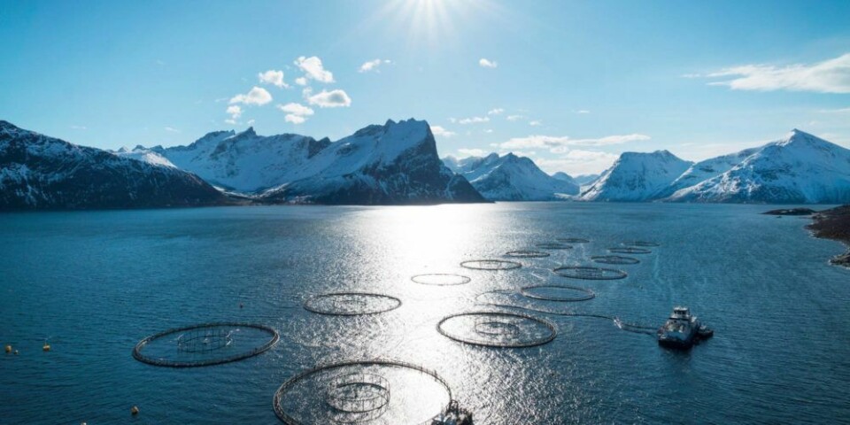 Illustrasjonsbilde: Norsk havbruk. Foto: Sjømat Norge.