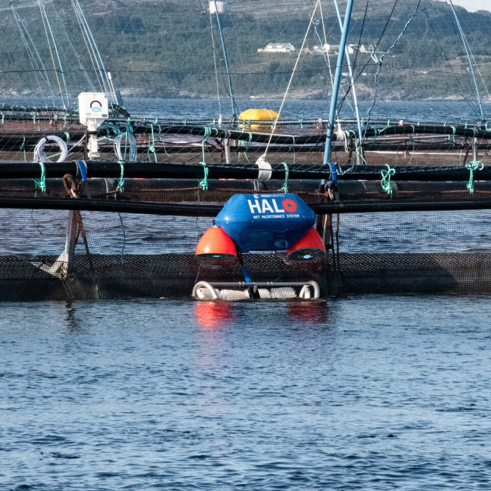 Aqua Robotics har fått flere bestillinger på notrenserobotenen deres. Foto: Aqua Robotics.