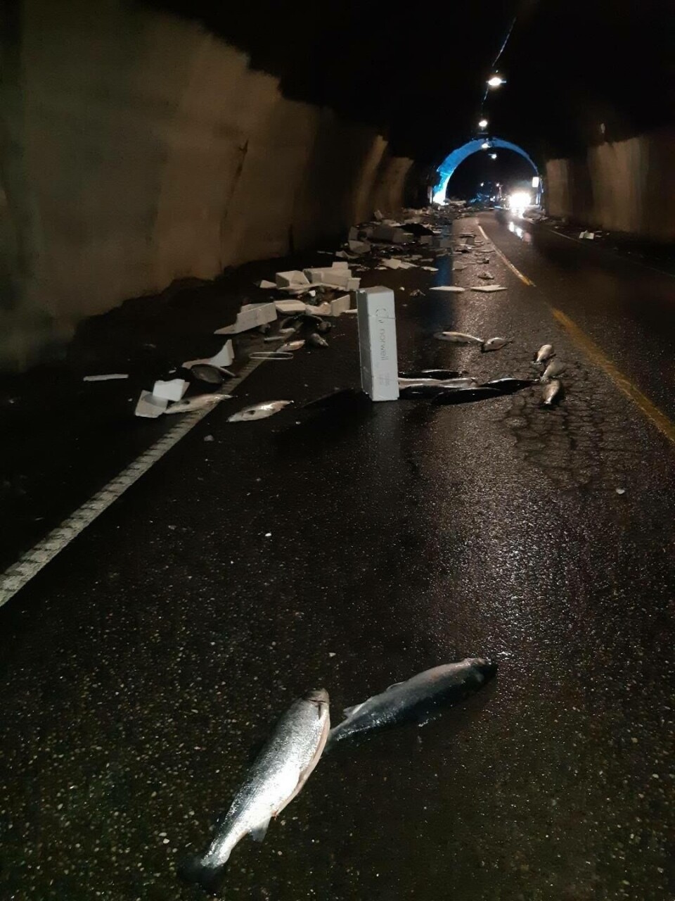 Av de 19 tonnene med laks, var det tre-fire tonn som havnet i veibanen. Foto: Voss Brannvern