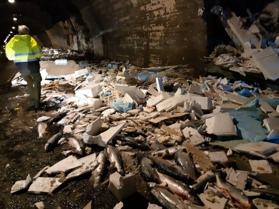 Tre-fire tonn med laks lå strødd i veibanen etter veltet. Foto: Voss brannvern