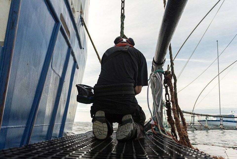 Sjøfartsdirektoratet opplyser om økning i ulykker der oppdrettsbåter er involvert. Foto: Sjøfartsdirektoratet.