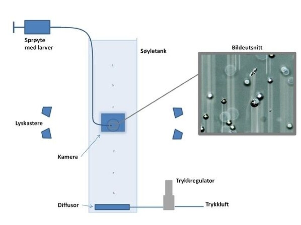Flotasjon av lakselus har vært foreslått som preventivt tiltak mot lakselus. Tanken her er at de frittsvømmende luselarvene møtes av en vegg av små luftbobler som fester seg til larvene og løfter dem mot overflaten. Flotasjon kan anvendes i kombinasjon med løsninger for oppsamling av de floterte luselarvene, eller i kombinasjon med skjørt slik at luselarvene ledes utenom anlegget. Figuren viser forsøksoppsettet.