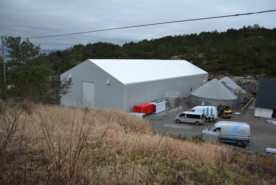 Den nye hallen. Foto: Linn Therese Skår Hosteland.