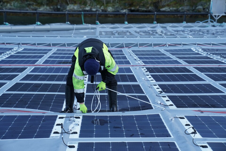 Solcelleanlegg. Foto: Inseanergy