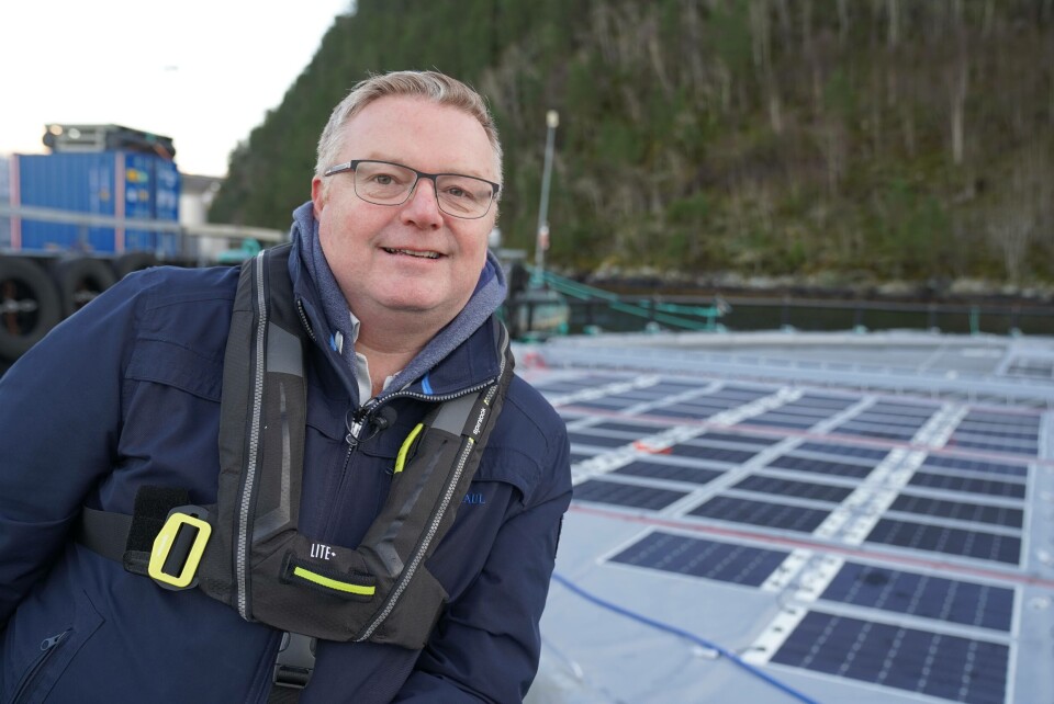Jan Erik Våge Klepp, CEO i Inseanergy. Foto: Inseanergy