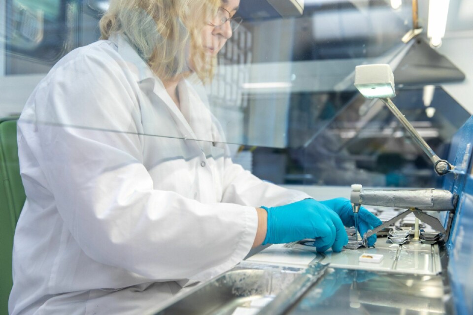 Fra Veterinærinstituttets laboratorium i Bergen. Foto: Eivind Senneset