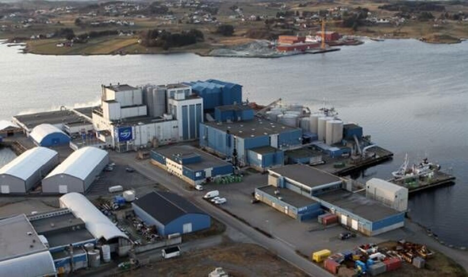 Oversiktsbilde av fabrikken til Biomar på Husøy i Karmøy kommune. Foto: Biomar