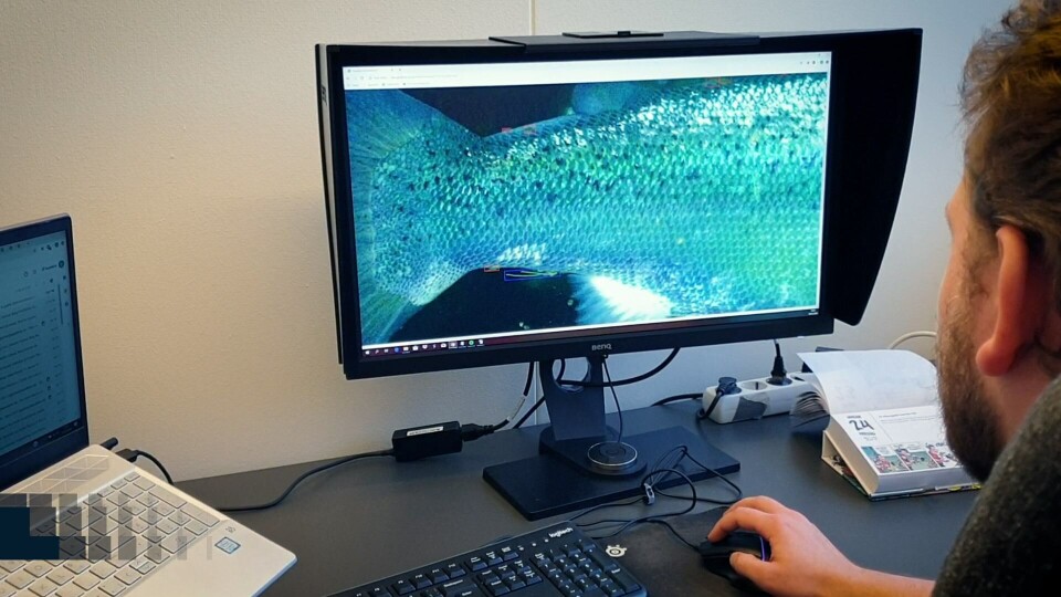 Aquabyte sier de kombinerer det beste fra innovasjonskulturen i Silicon Valley med ekspertise fra norsk oppdrettsnæring. Foto: Aquabyte