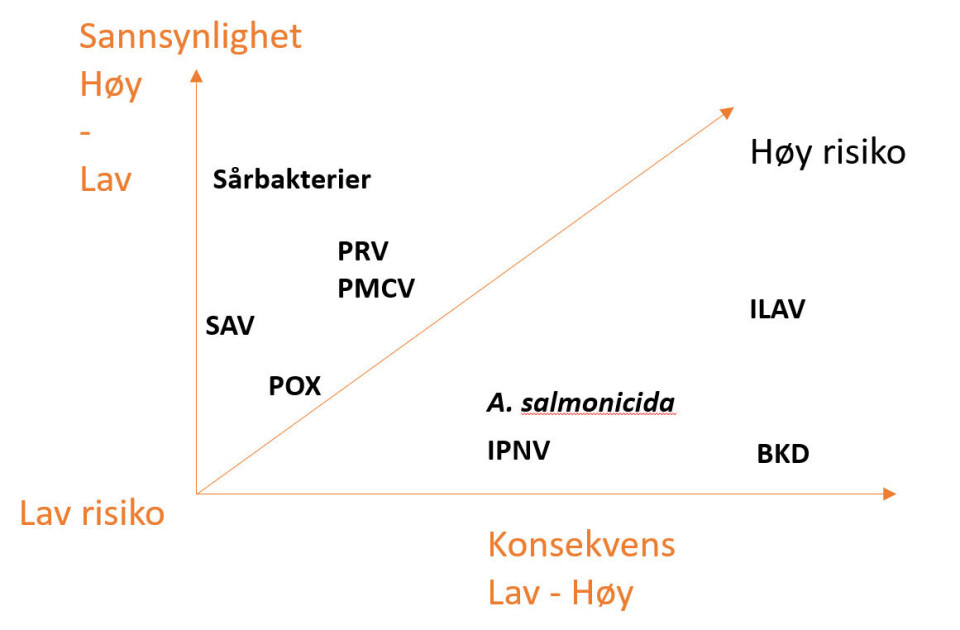 Figur 1. Risikomatrise for en gitt stamfisk og rognproduksjon.