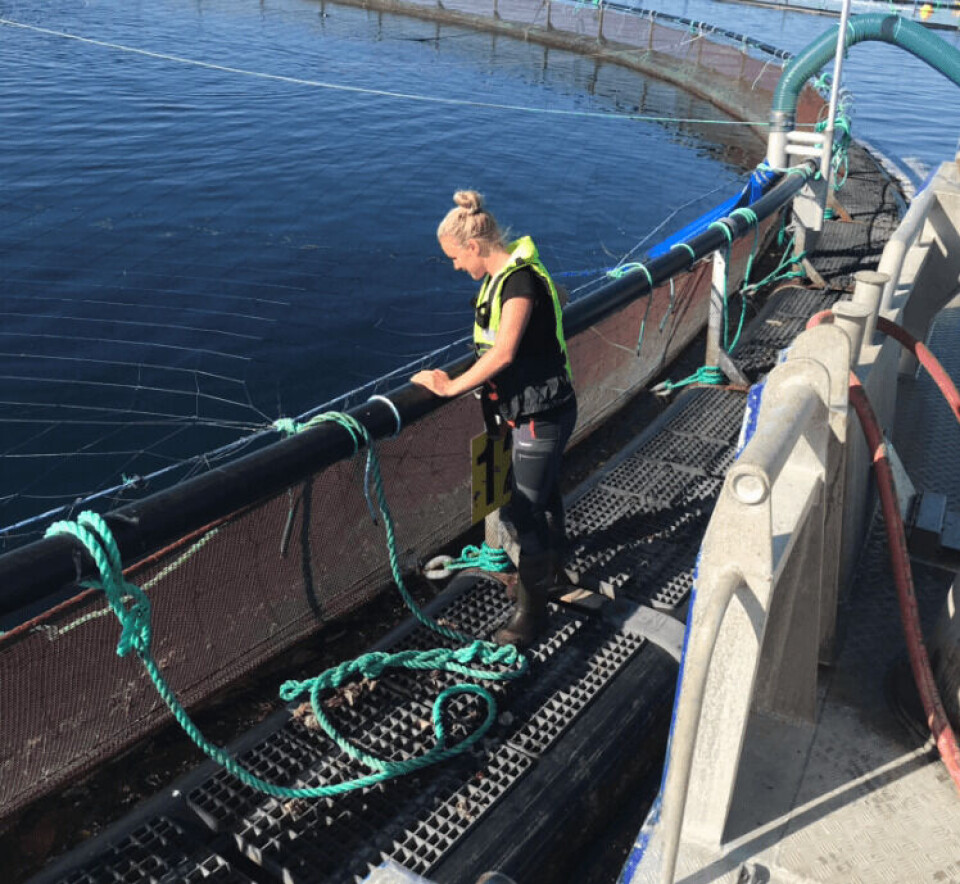 Aina Skarsvåg fikk øyene opp for havbruksnæringen da hun var på et settefiskanlegg da hun var bare 13 år, og siden den gang har hun utdannet seg innen havbruk og fått fagbrev i akvakultur. Foto: Marine Harvest/privat.