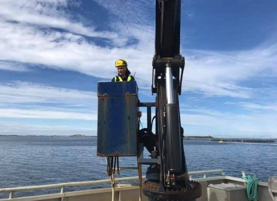 - Jeg liker fysisk arbeid, og at jeg har mange ulike oppgaver i løpet av en arbeidsdag, sier Aina Skarvåg. Foto: privat.