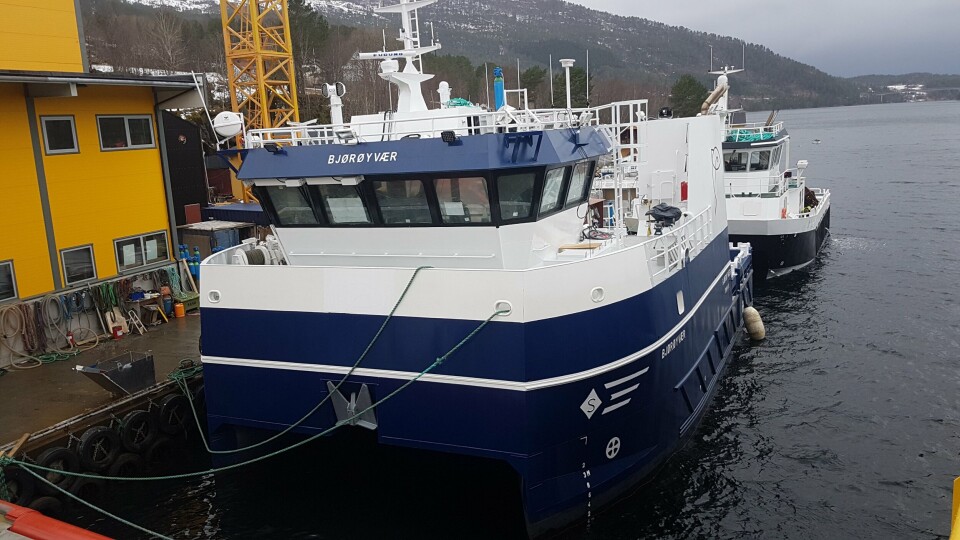 Servicefartøyet «Bjørøyvær» skal benyttes på alle lokalitetene til Bjørøya og Midt-Norsk Havbruk. Foto: Bjørøya