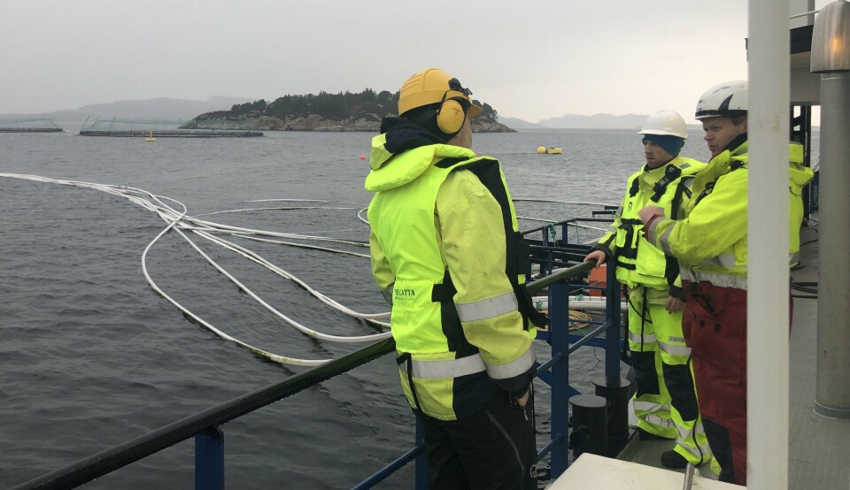 Bildet er fra et av anleggene til Lerøy, som i samarbeid med BKK har fått støtte til å elektrifisere 24 oppdrettsanlegg i Hordaland. Foto: Lerøy