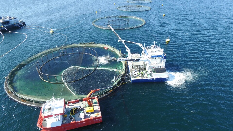 Måsøvals Luma er selskapets siste investering i kampen mot lusa, utstyrt med tre linjer flatsetsund spylere for skånsom fjerning av lakselus. Foto: Måsøval Fiskeoppdrett.