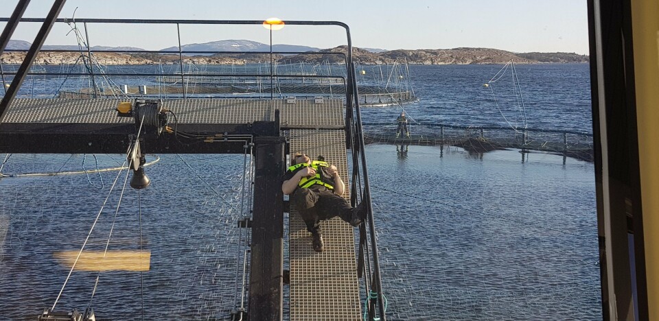 Flesnes sier at om bord avlusingslekterne er det viktig med en liten dråpe humor, og 33-åringen er gjerne med og lager litt liv i leiren. Foto: Hydrolicer. Klikk for større bilde. Flesnes sier at om bord avlusingslekterne er det viktig med en liten dråpe humor, og 33-åringen er gjerne med og lager litt liv i leiren. Foto: Hydrolicer. Klikk for større bilde.
